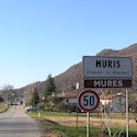 Muris